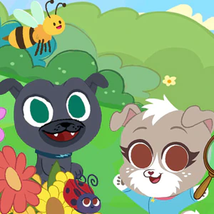Ready for Preschool: Backyard Bugs